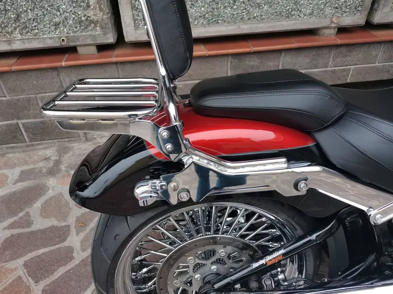 Harley-Davidson Fat Boy 117 (2025 - 26) (7)