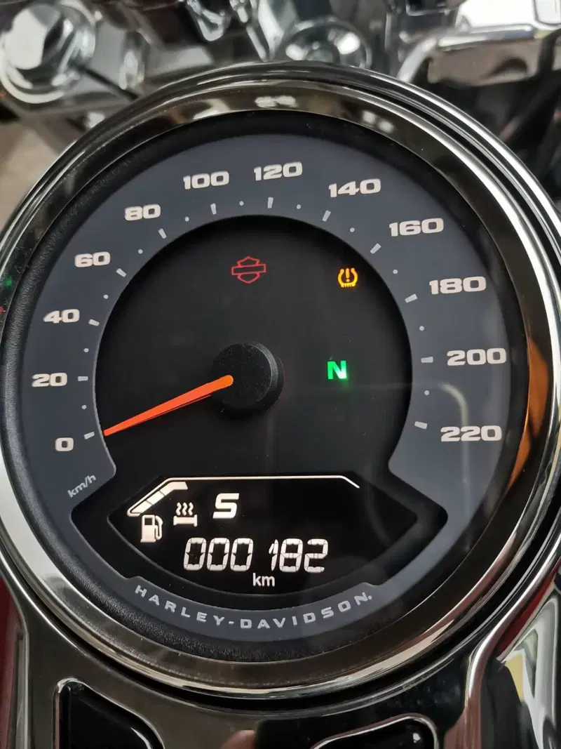 Harley-Davidson Fat Boy 117 (2025 - 26) (9)