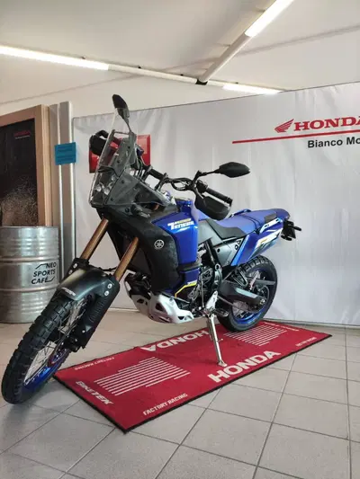 Yamaha T&eacute;n&eacute;r&eacute; 700 World Raid (2022 - 25) usata