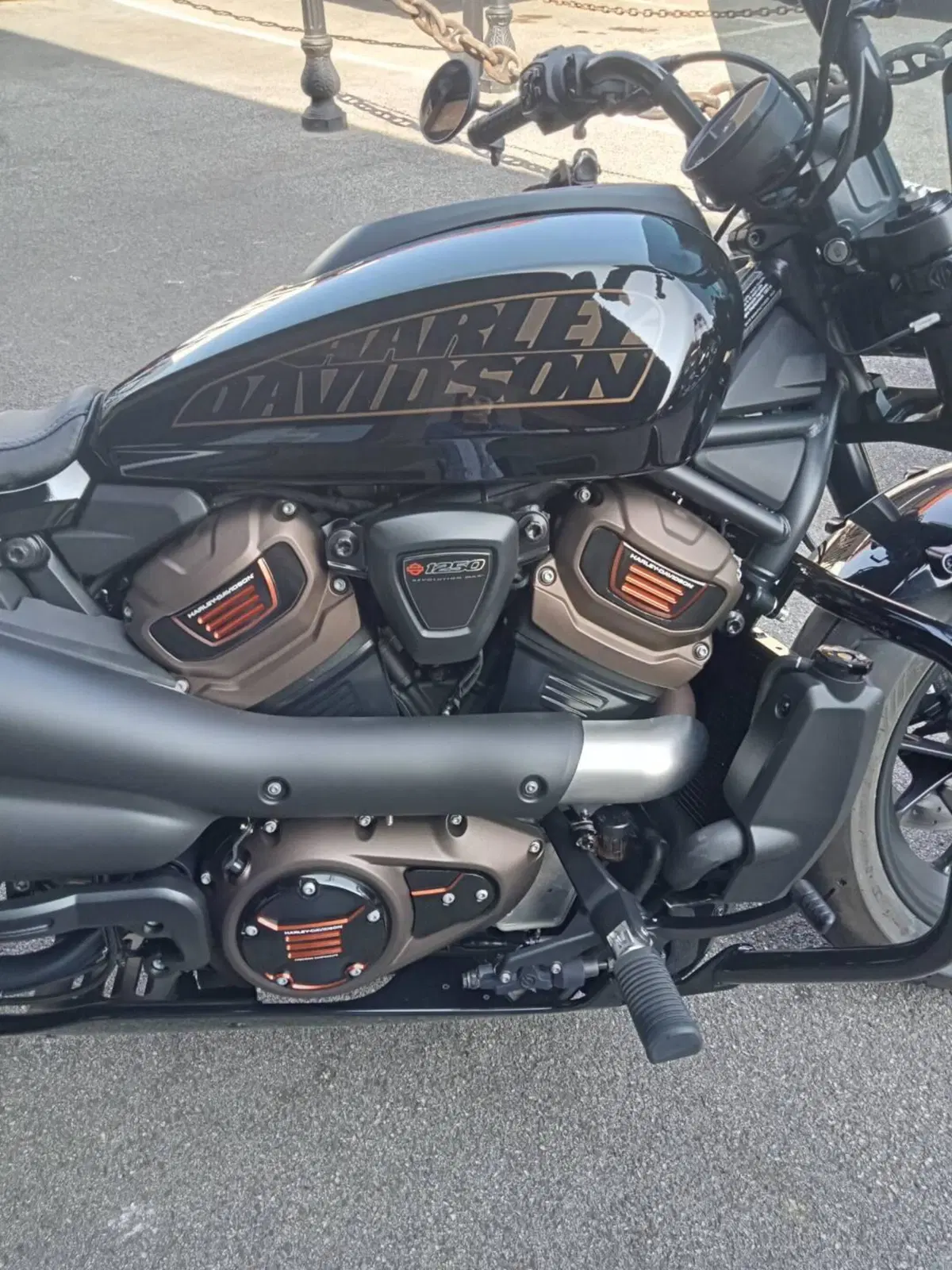 Harley-Davidson Sportster S (2022 - 24) (3)