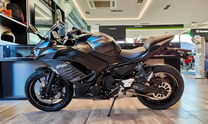 Kawasaki Ninja 650 (2025 - 26) (4)
