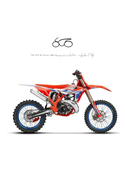 Betamotor RX 350 2T (2026) nuova