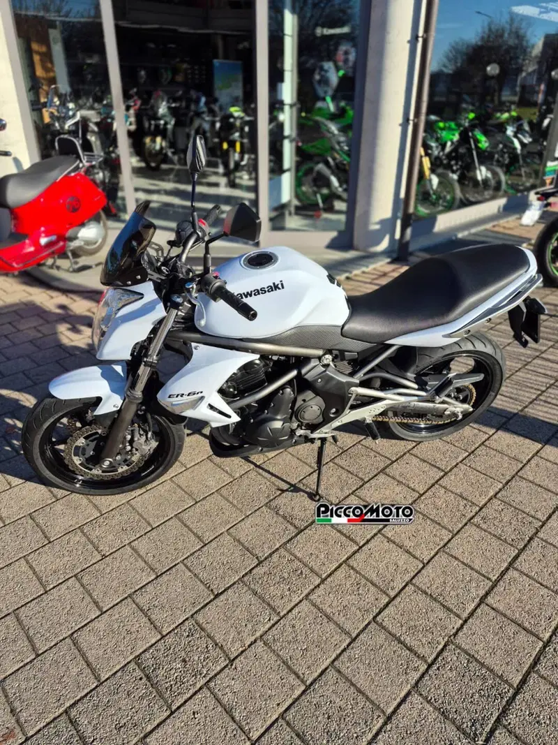 Kawasaki ER-6N (2009 - 11)