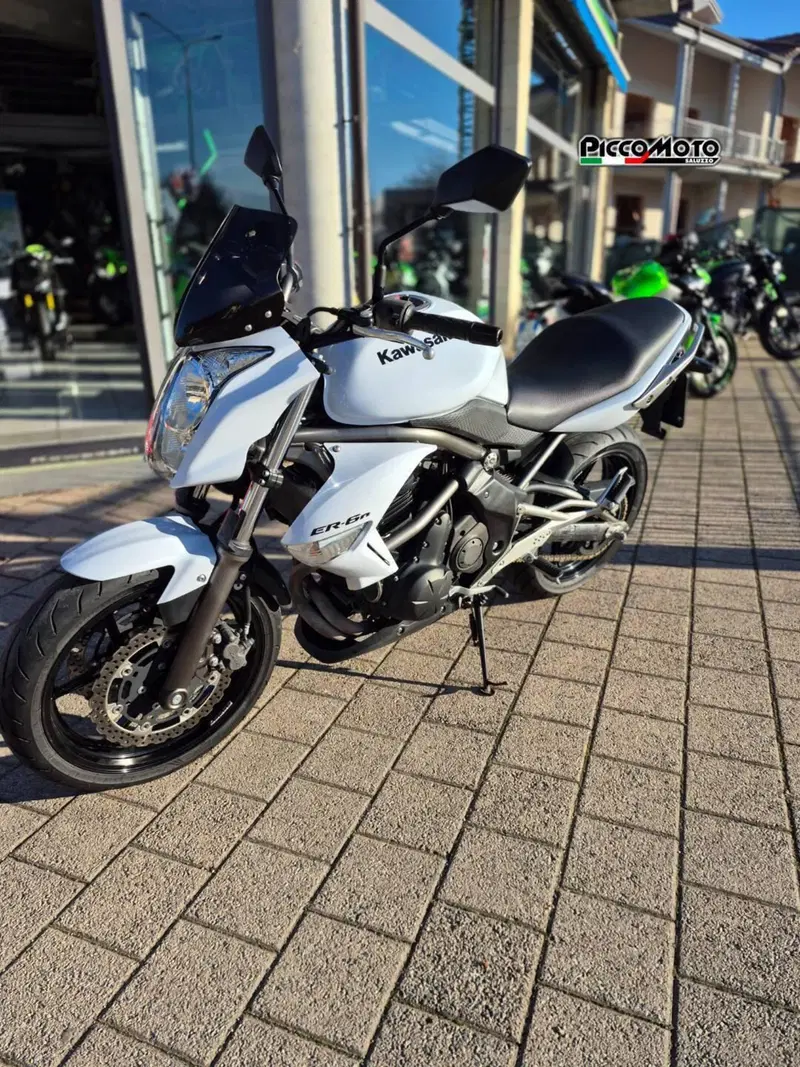 Kawasaki ER-6N (2009 - 11) (2)