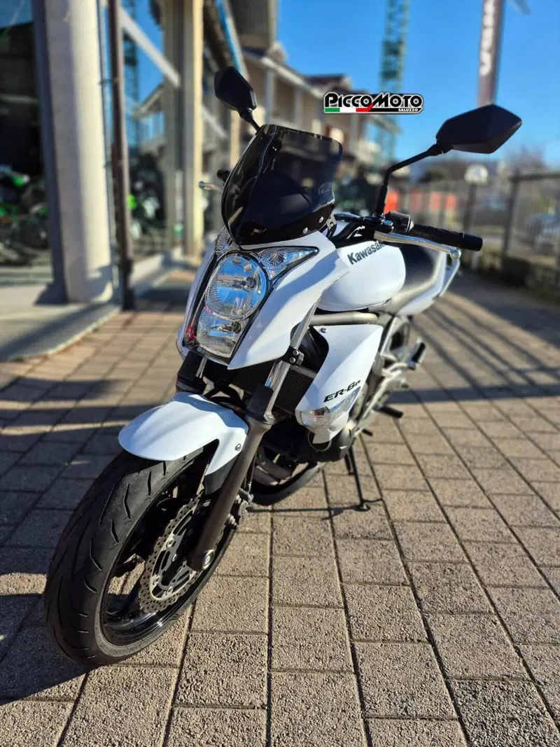 Kawasaki ER-6N (2009 - 11) (3)