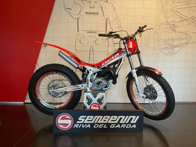 Betamotor Evo 80 Senior (2011 - 24) usata