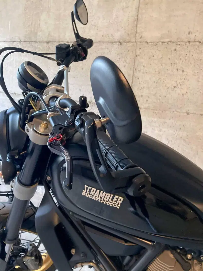 Ducati Scrambler 800 Desert Sled (2017 - 20) (6)