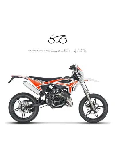 Betamotor RR 50 Motard (2021 - 26) nuova