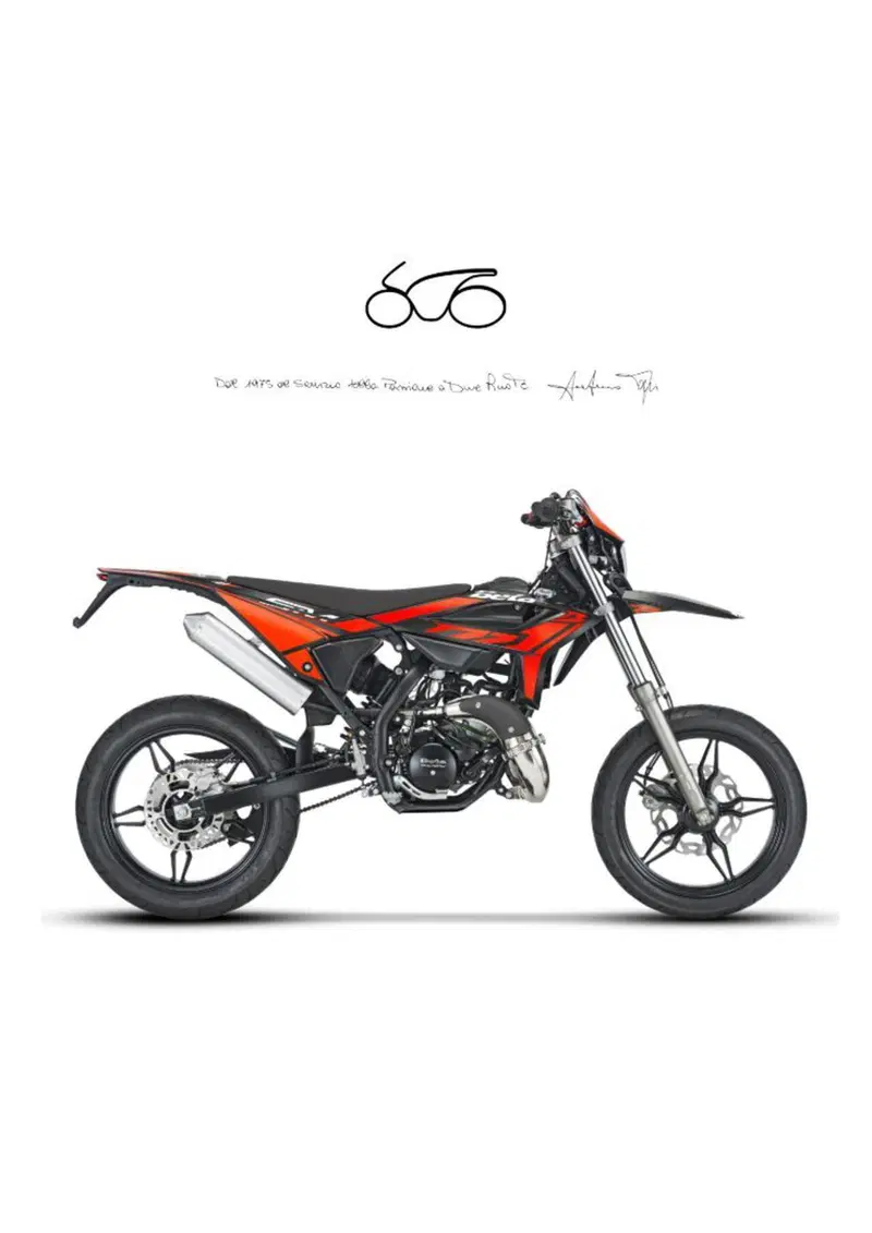 Betamotor RR 50 Motard (2021 - 26)