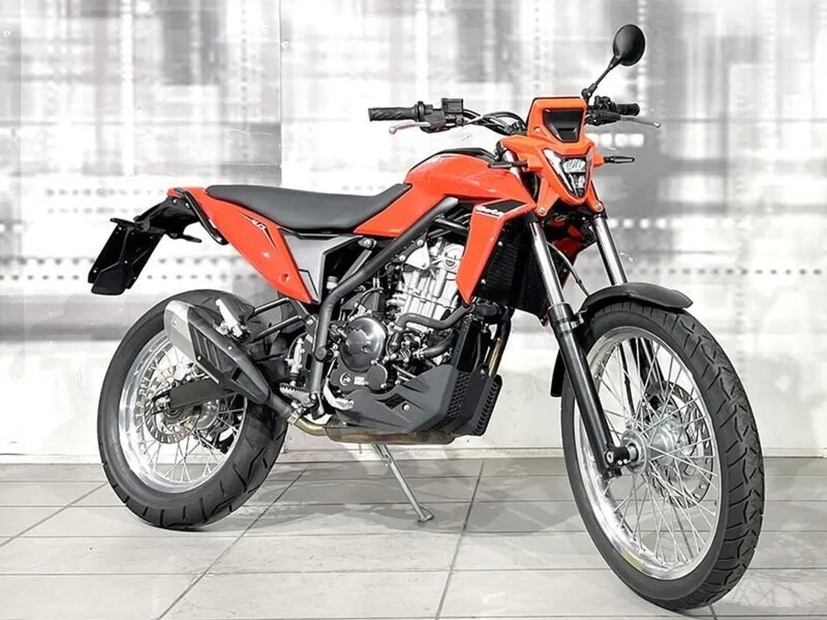 Betamotor Alp 4.0 (2024 - 26)