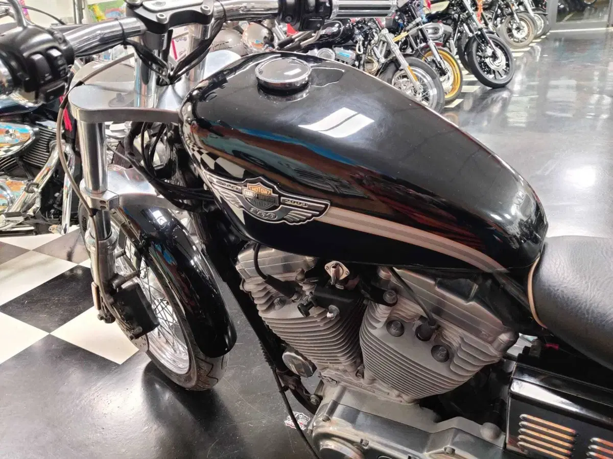 Harley-Davidson 883 Custom (2001 - 05) - XL 53C (9)