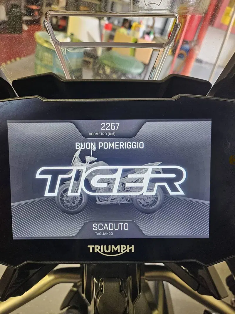Triumph Tiger 900 GT Pro (2020 - 23) (3)