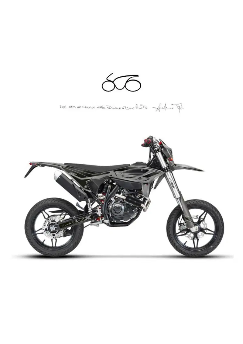 Betamotor RR 125 4T Motard T (2025 - 26)