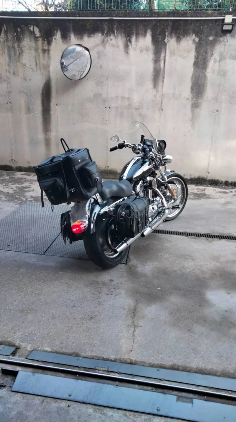 Harley-Davidson 1200 Custom (2007 - 13) - XL 1200C (3)