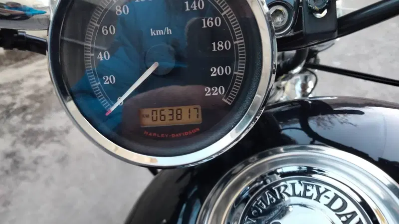 Harley-Davidson 1200 Custom (2007 - 13) - XL 1200C (6)