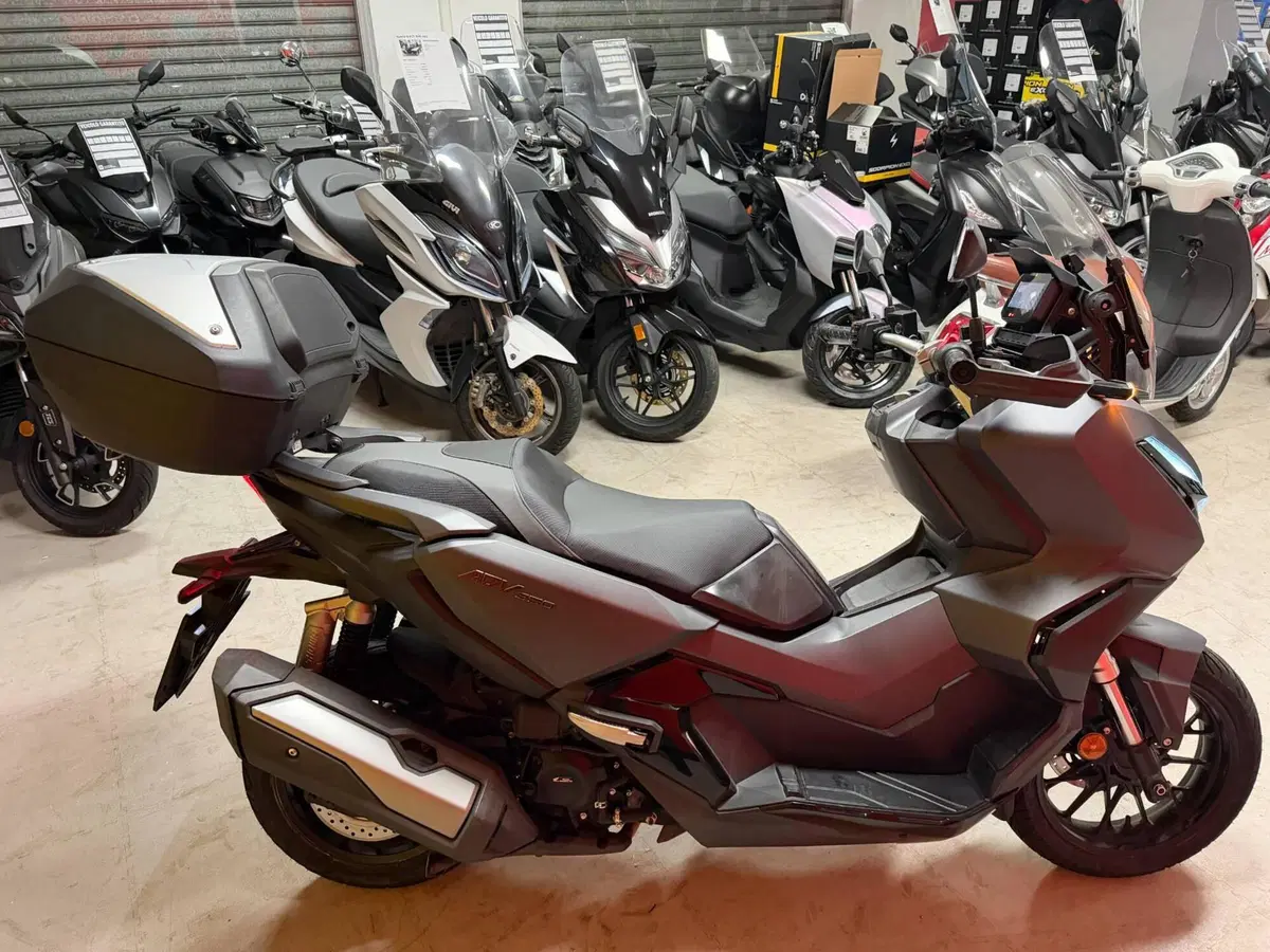 Honda ADV 350 (2022 - 24) (4)