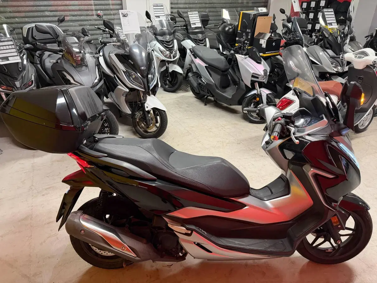 Honda Forza 300 Deluxe ABS (2018 - 20) (3)