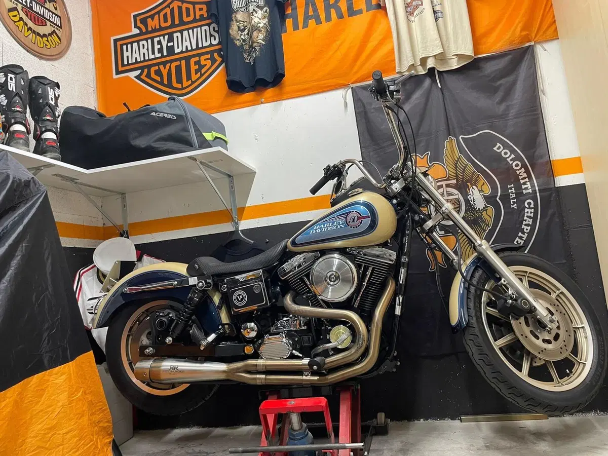 Harley-Davidson Daytona Dyna Glide (14)