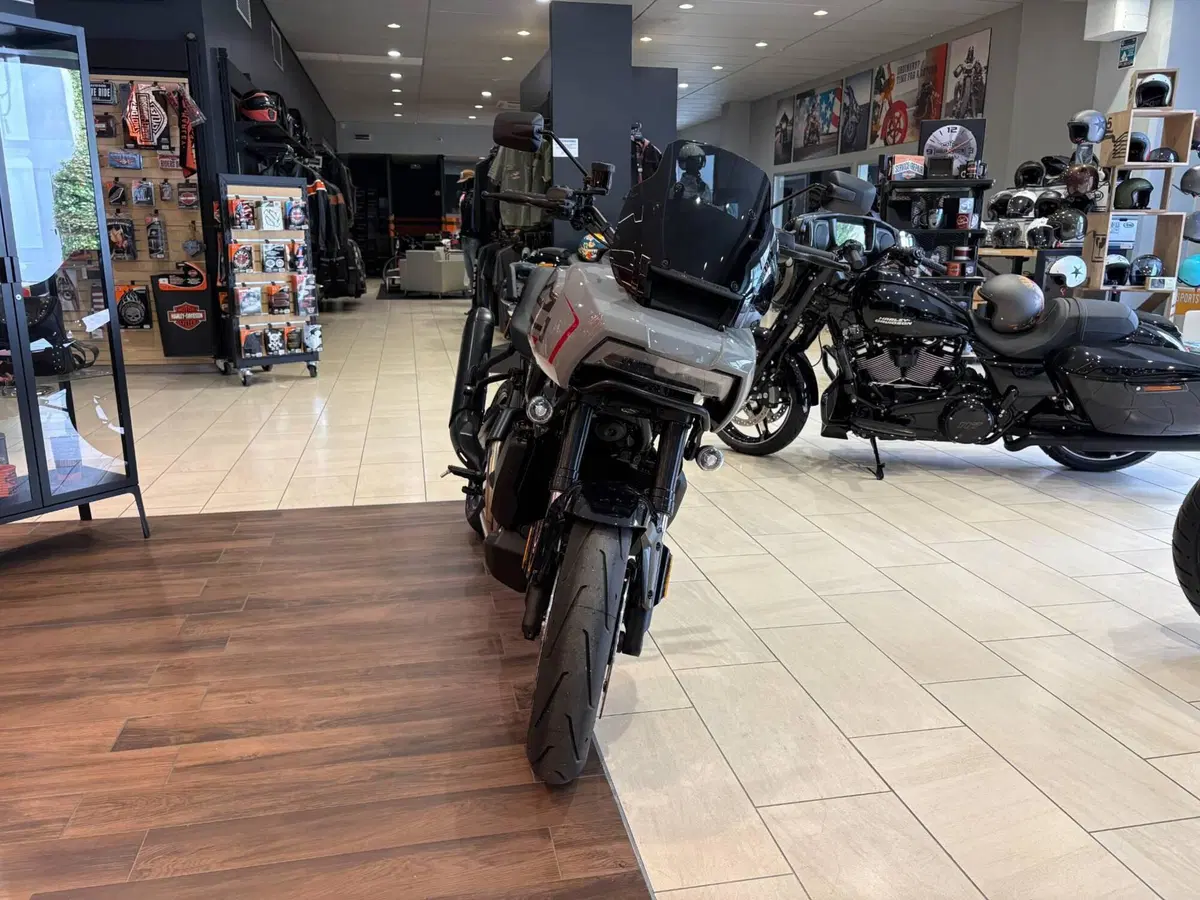 Harley-Davidson Pan America 1250 ST (2025 - 26) (6)