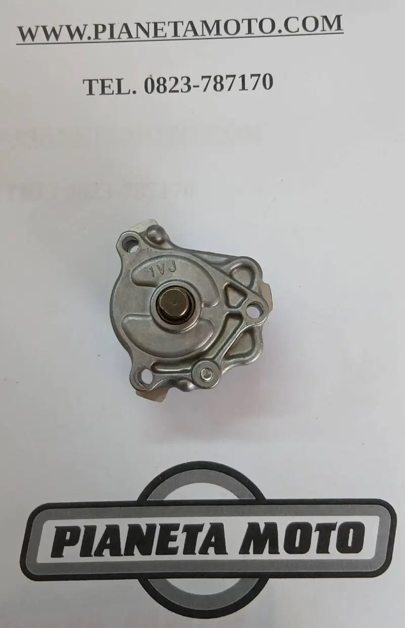 1VJ-13300-00 POMPA OLIO YAMAHA (2)