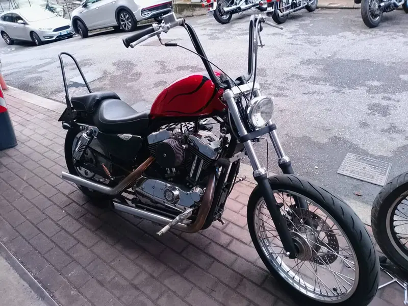 Harley-Davidson 1200 Custom (2004 - 06) - XL 1200C (2)