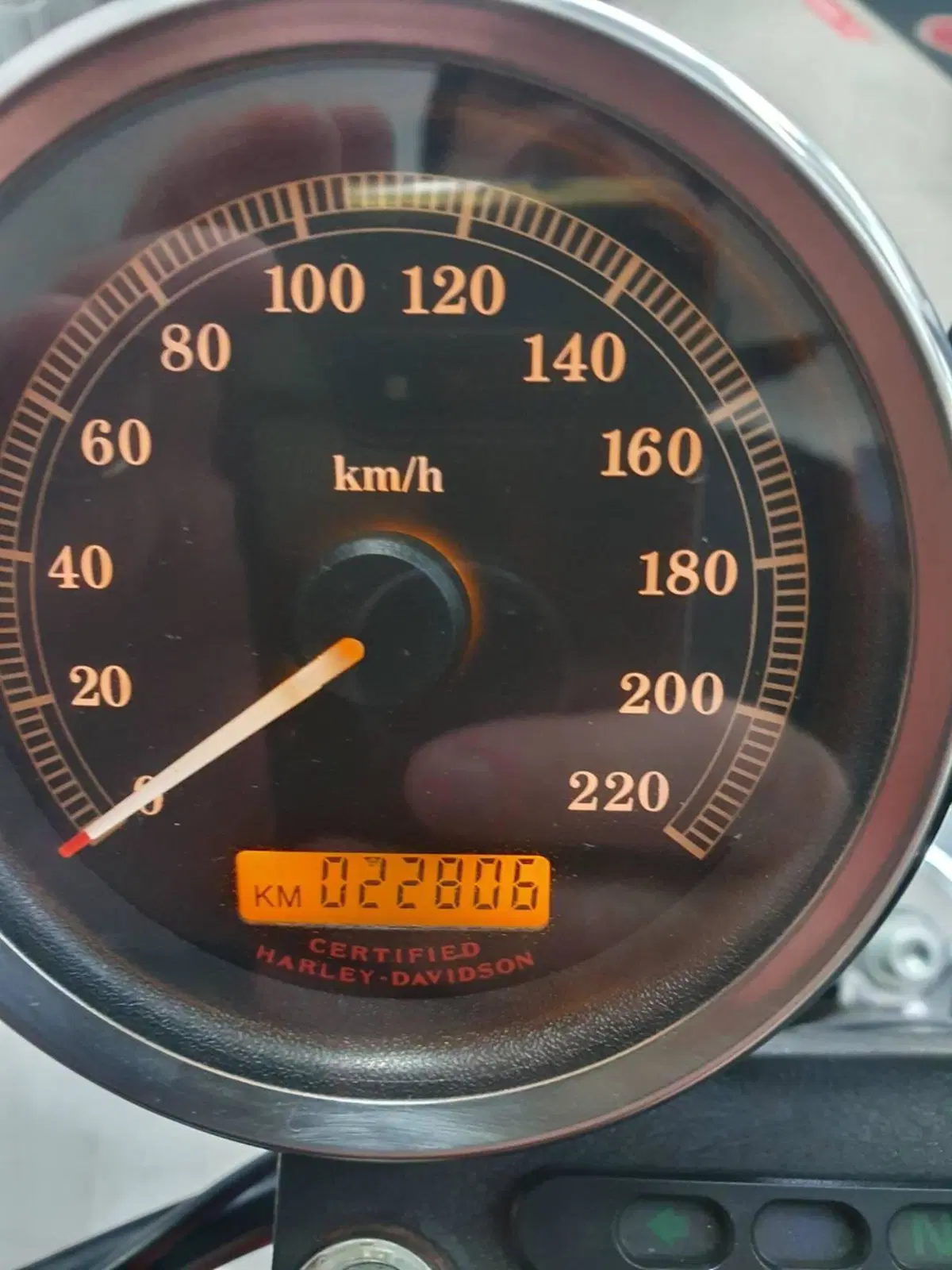 Harley-Davidson 1200 Roadster (2006 - 08) - XL 1200R (4)