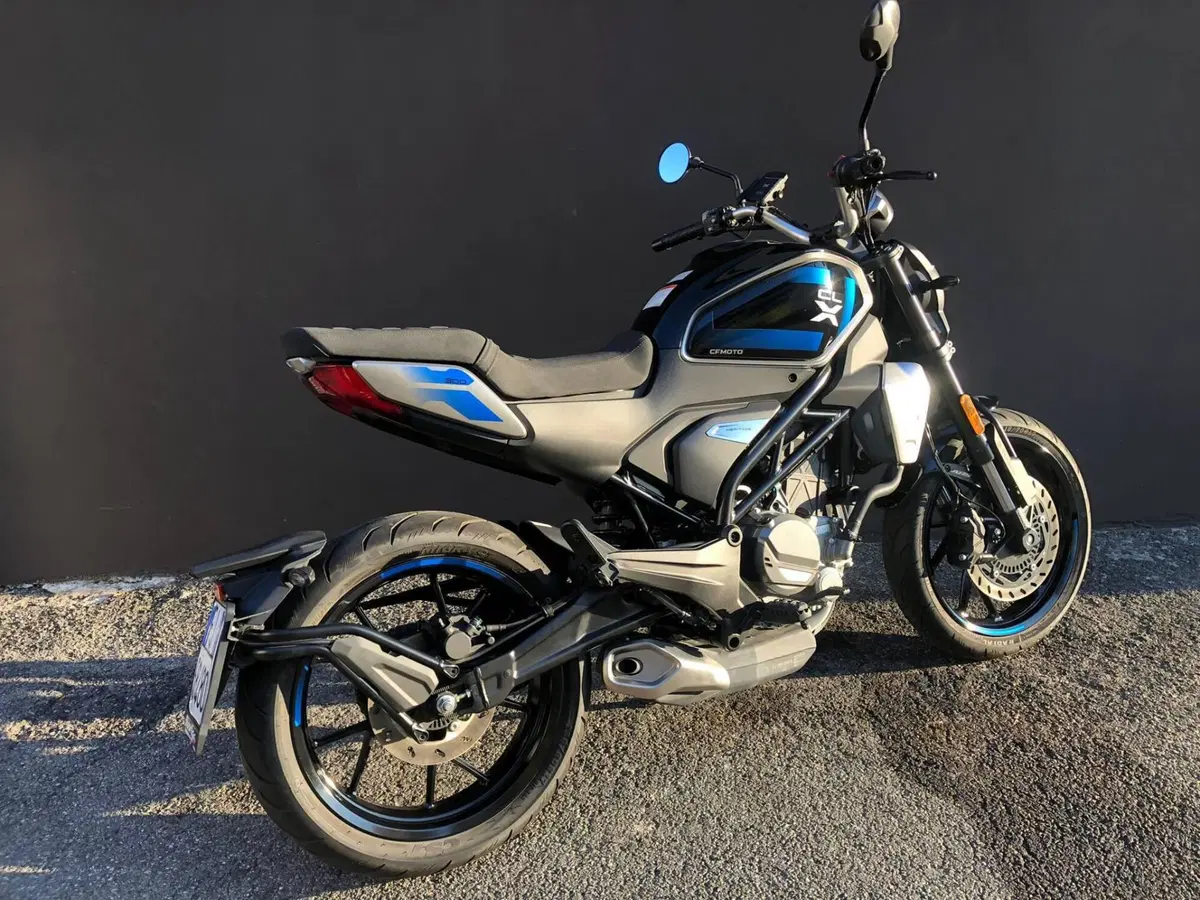 CFMOTO 300CL-X Heritage (2023 - 26) (3)