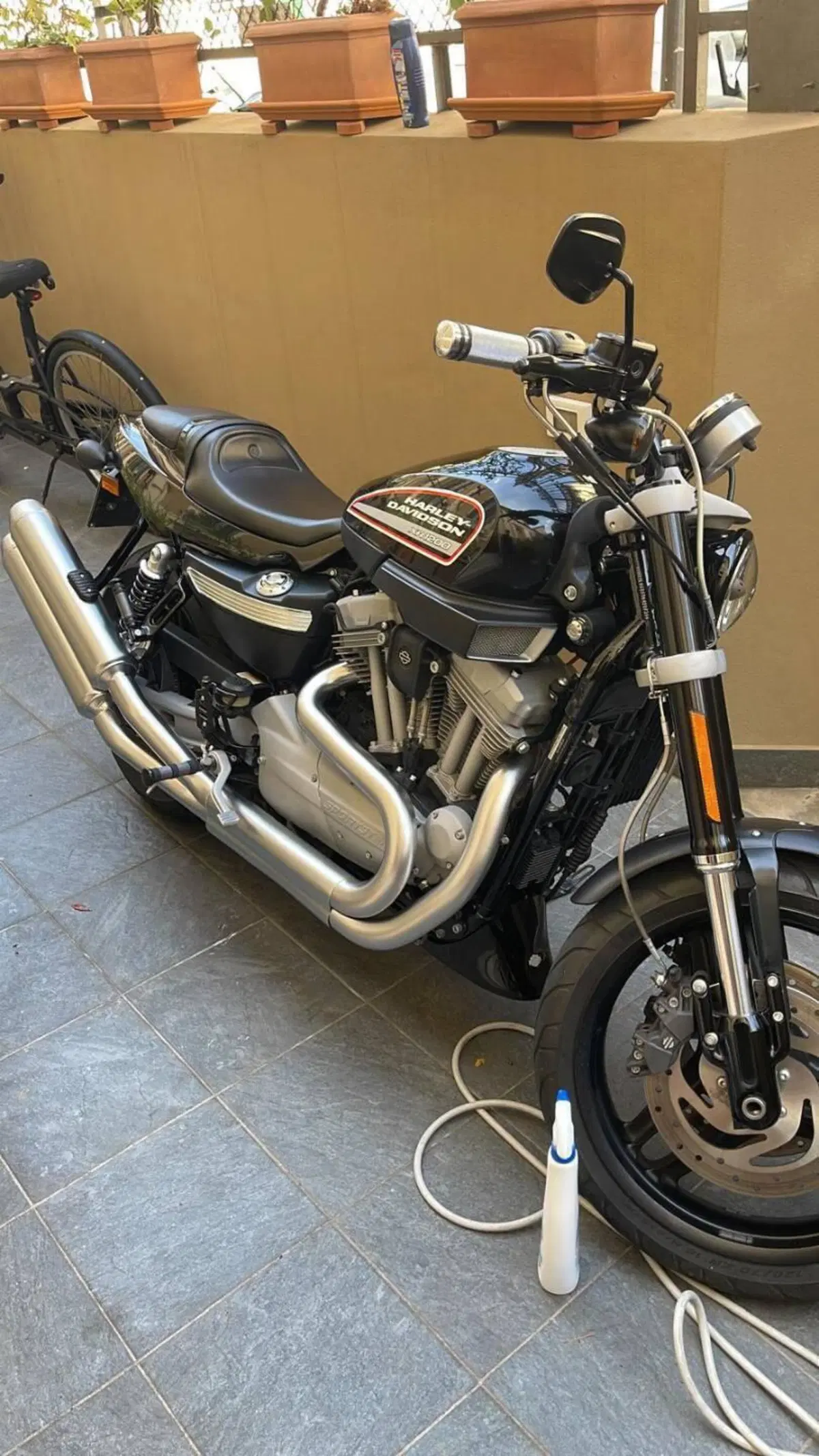 Harley-Davidson 1200 XR (2009 - 12) (2)
