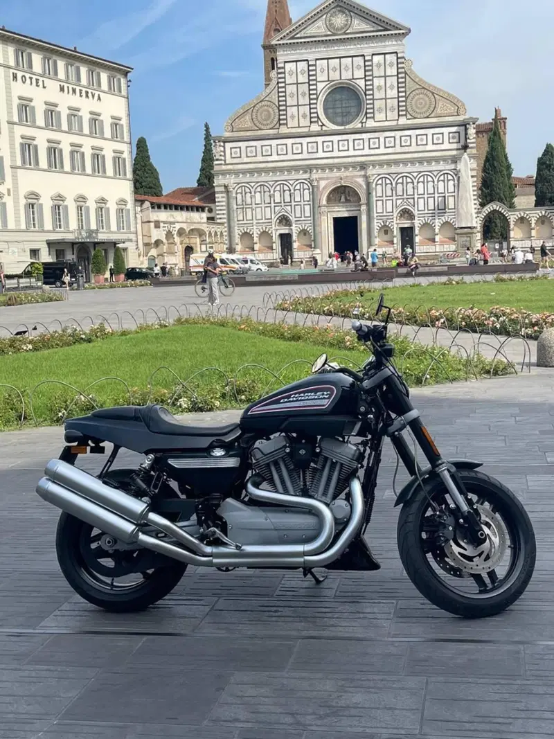 Harley-Davidson 1200 XR (2009 - 12) (6)