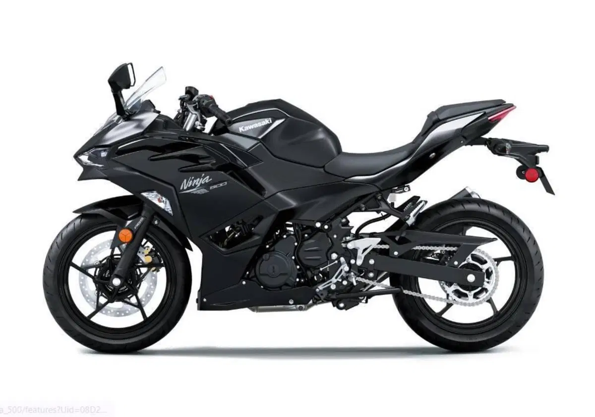 Kawasaki Ninja 500 (2024 - 26) (4)