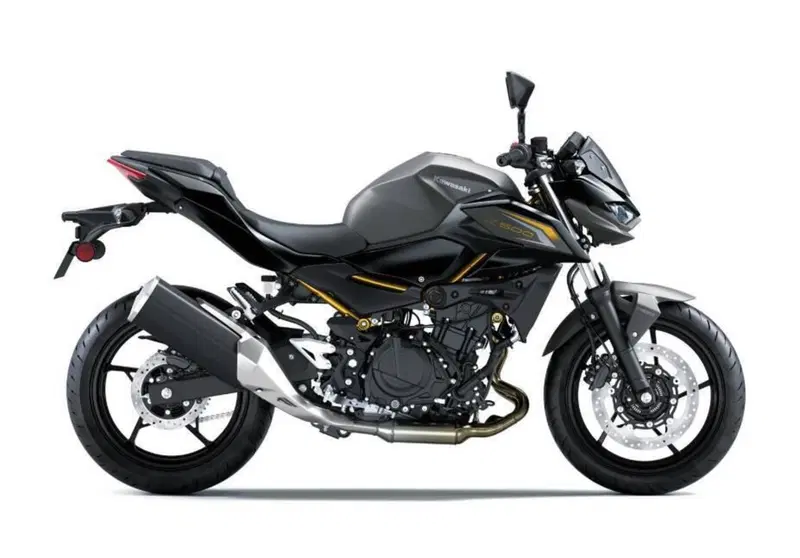 Kawasaki Z 500 (2024 - 26) (3)