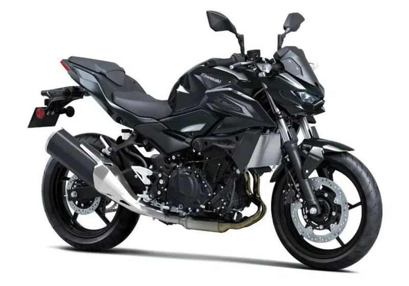Kawasaki Z 500 (2024 - 26) (8)