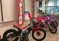 Betamotor Sincro 300 2T (2026) nuova