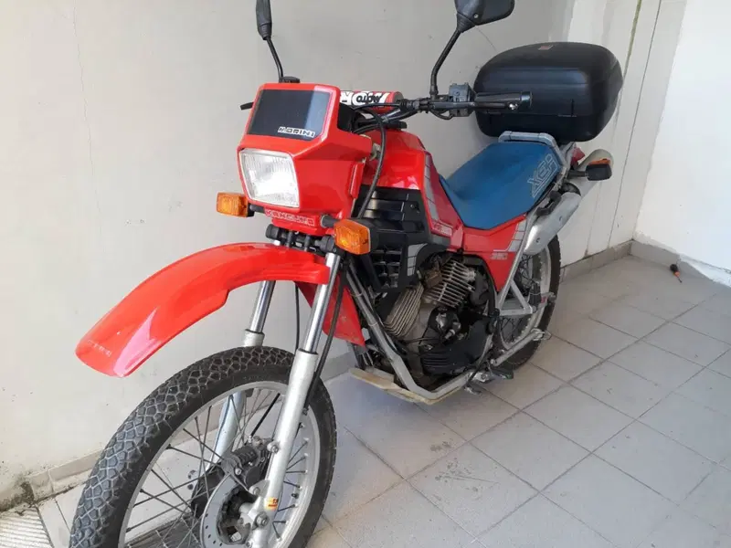 Morini KANGURO (3)