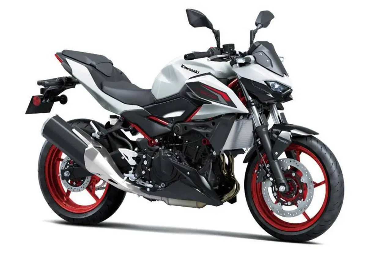 Kawasaki Z 500 SE (2024 - 26) (5)