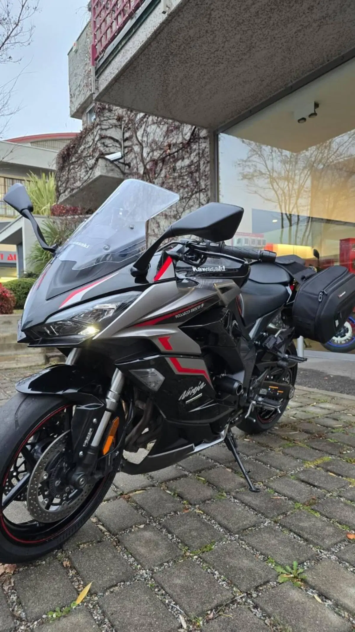 Kawasaki Ninja 1000 SX (2021 - 24) (3)