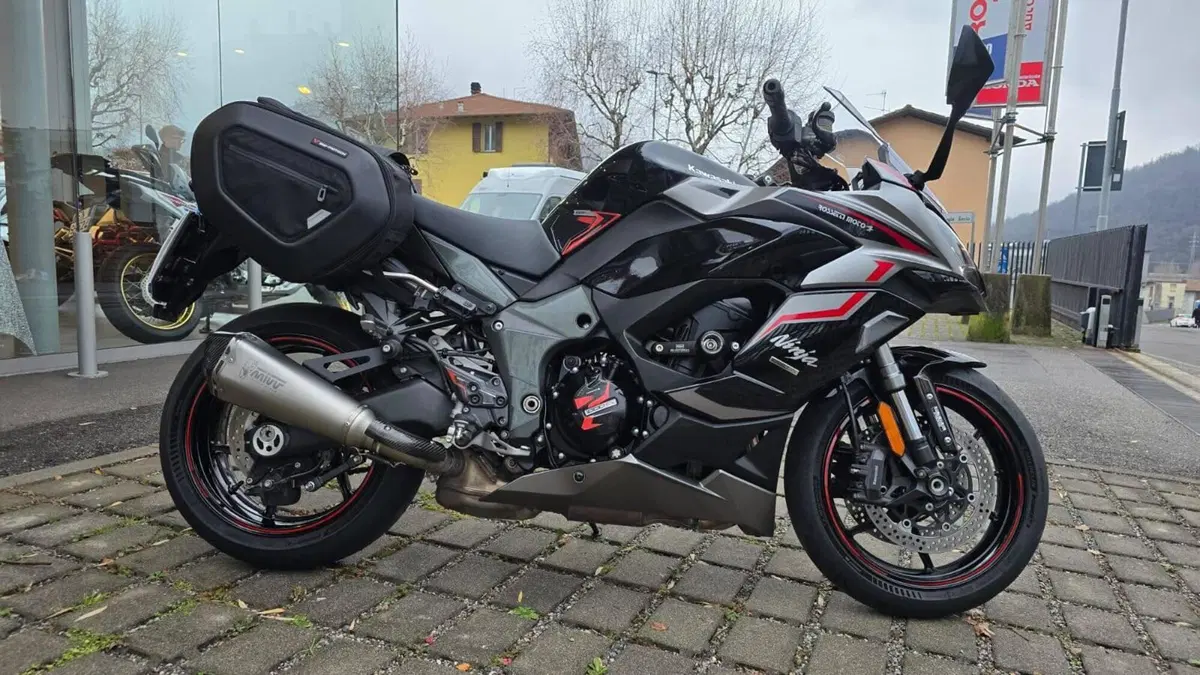 Kawasaki Ninja 1000 SX (2021 - 24) (4)