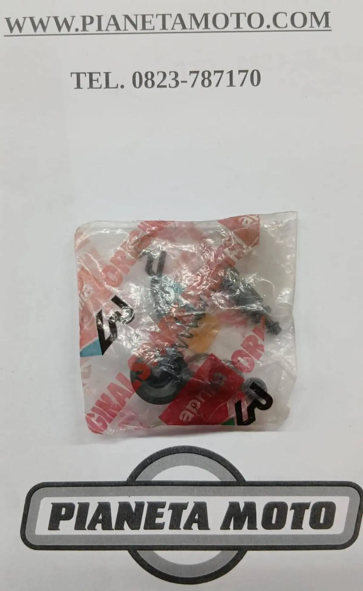 AP8118812 REVISIONE POMPA POST RS Aprilia