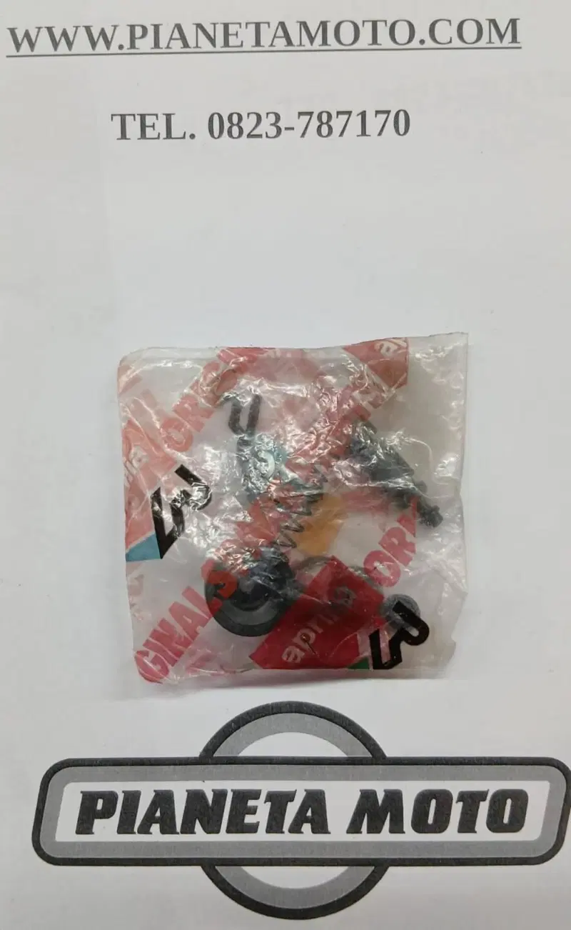 AP8118812 REVISIONE POMPA POST RS Aprilia