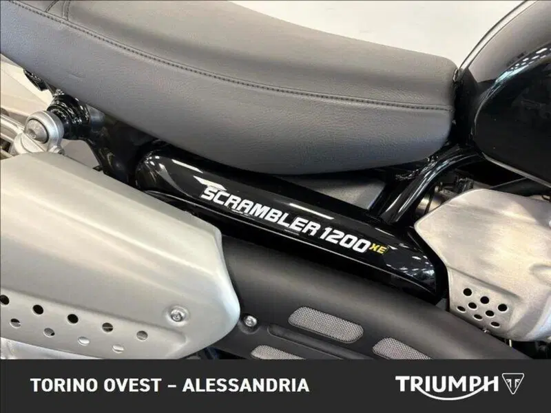 Triumph Scrambler 1200 XE (2024 - 25) (9)