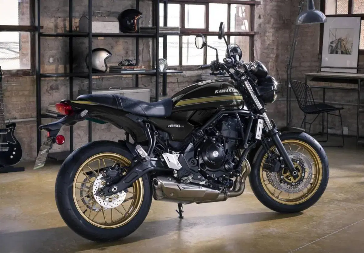 Kawasaki Z 650 RS (2025 - 26) (13)