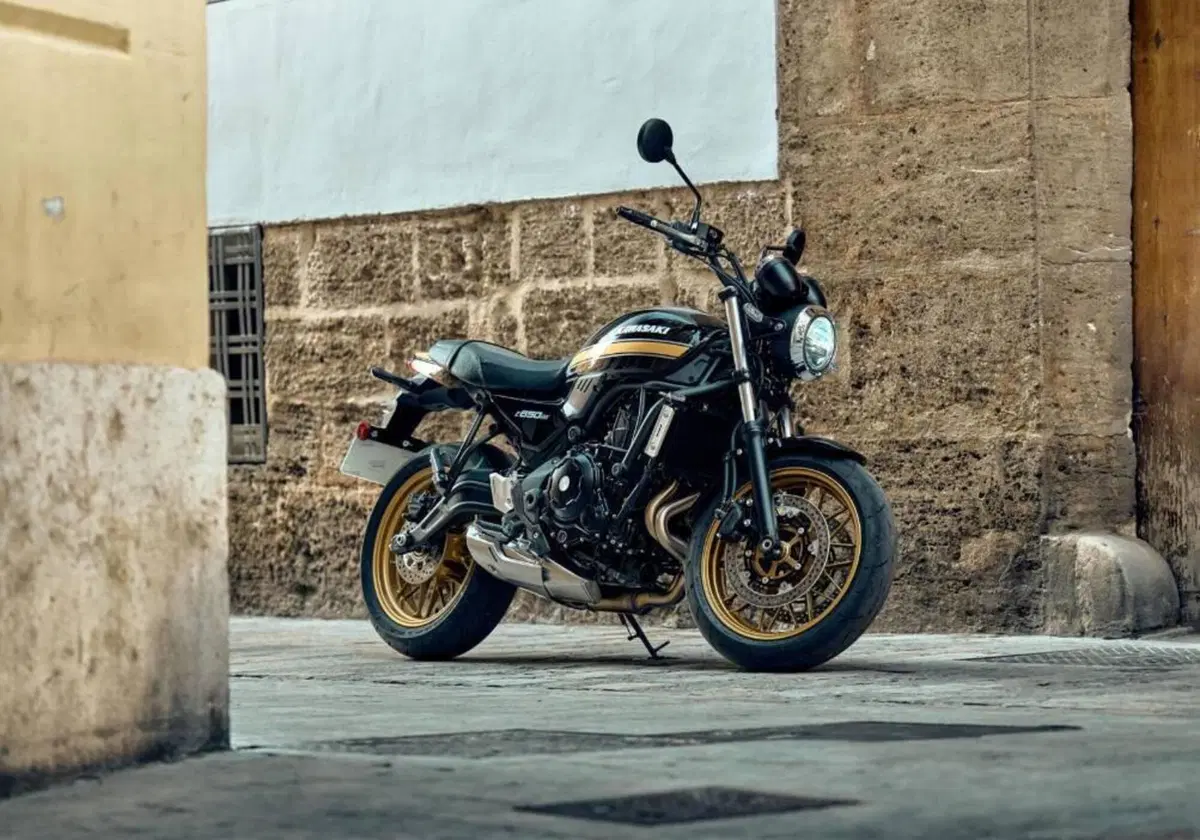 Kawasaki Z 650 RS (2025 - 26) (14)