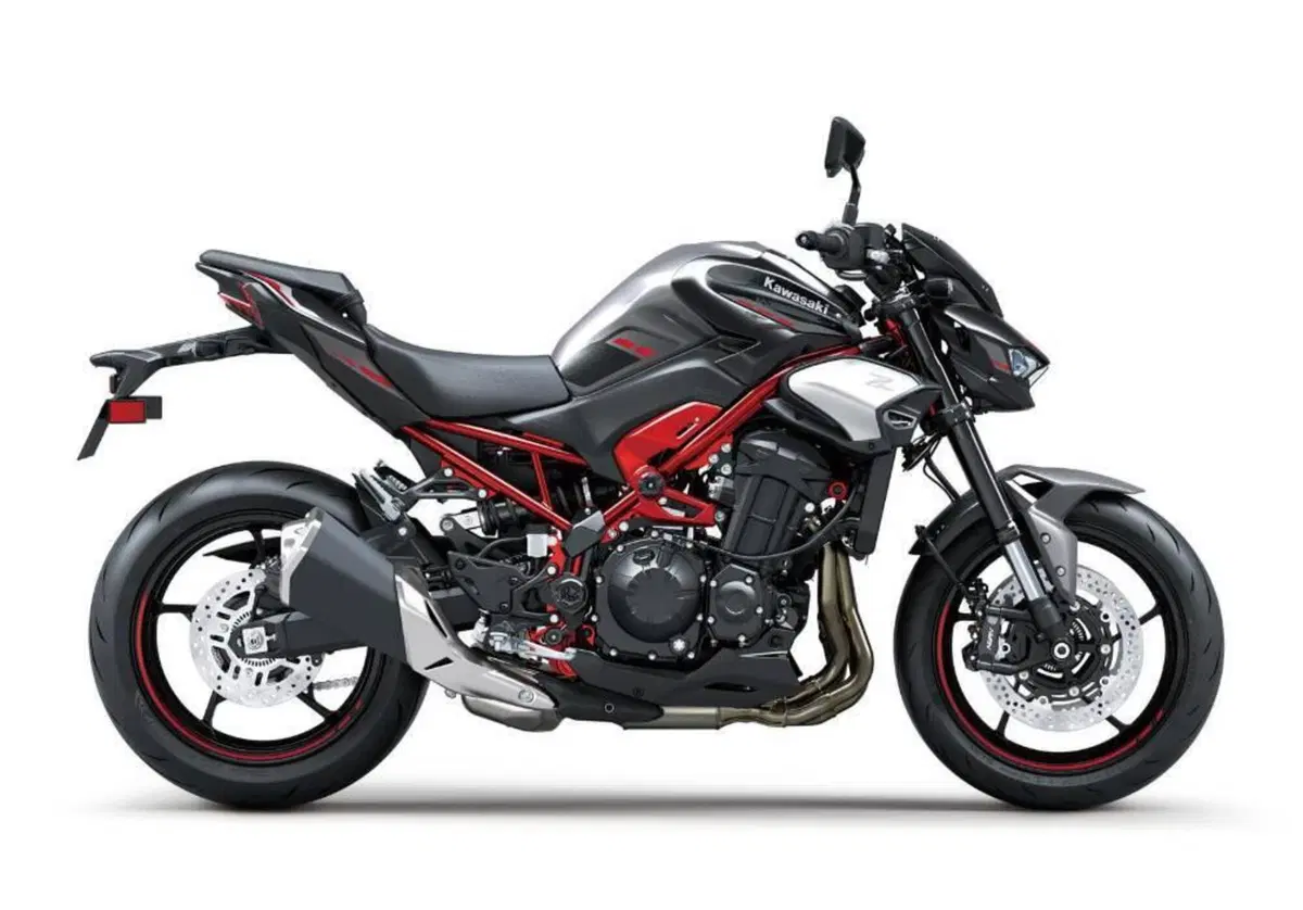 Kawasaki Z 900 (2025 - 26) (7)
