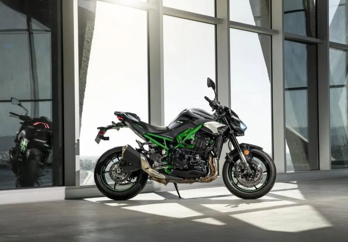 Kawasaki Z 900 (2025 - 26) (14)