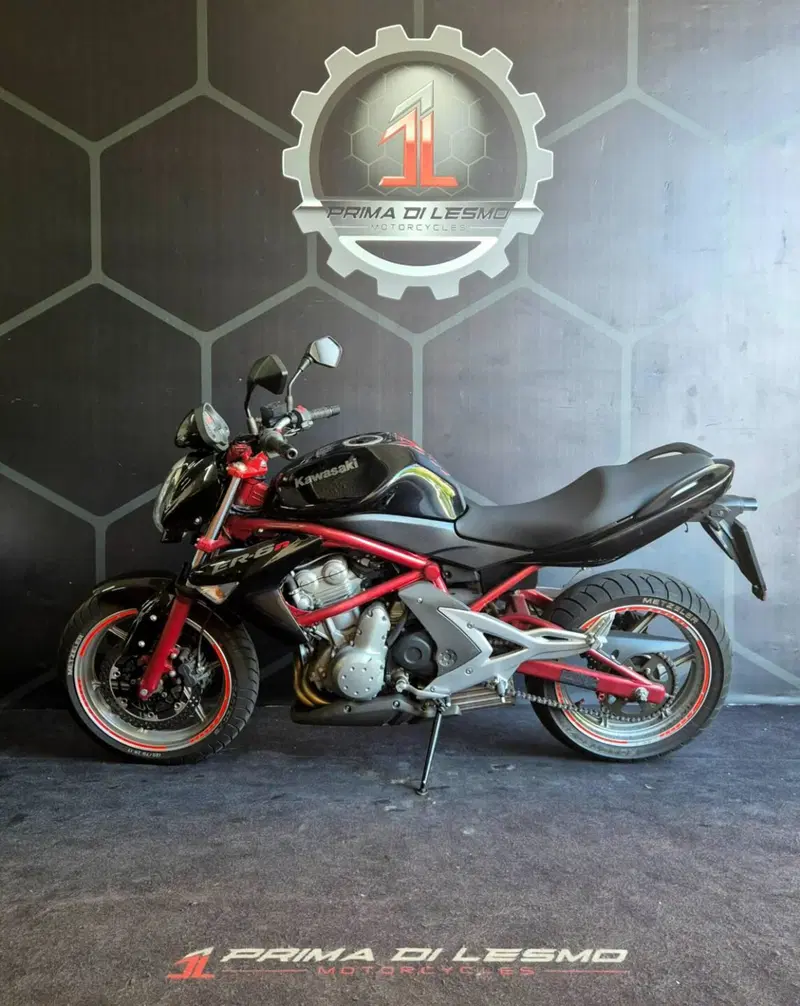 Kawasaki ER-6N (2006 - 09) (2)
