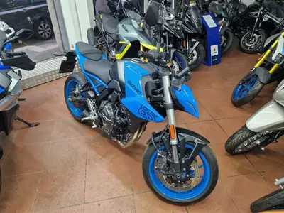 Suzuki GSX-8S (2023 - 24) usata