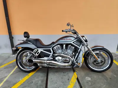 Harley-Davidson 1250 V-Rod (2008 - 12) - VRSCAW usata