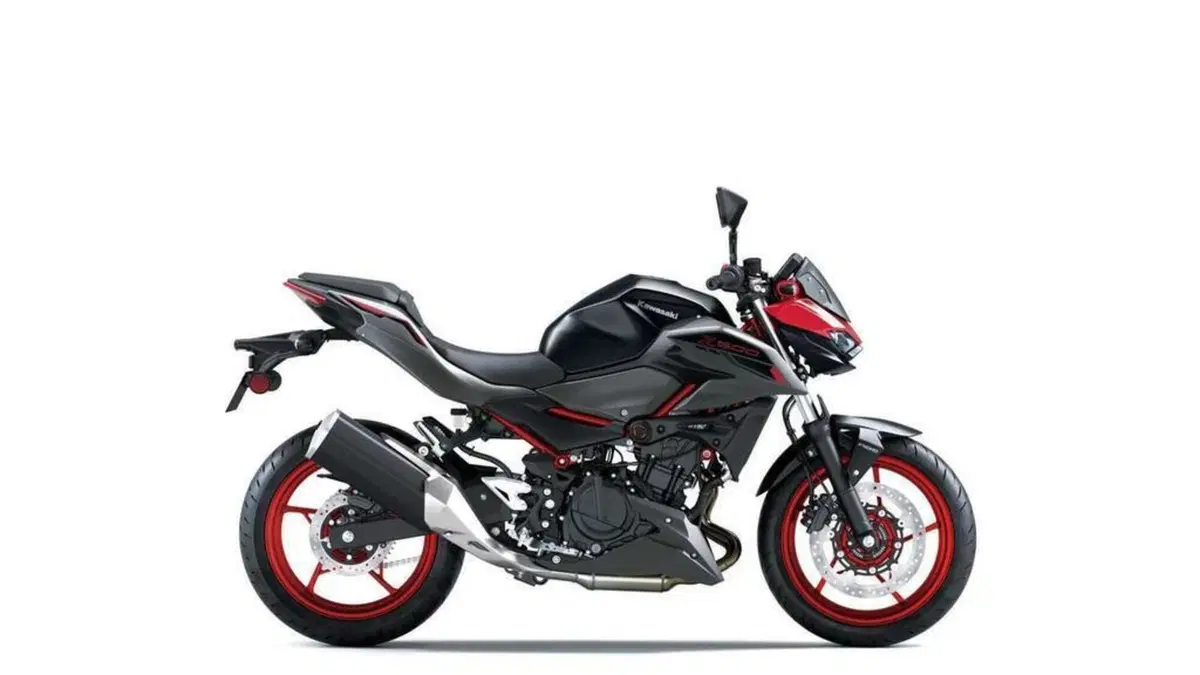 Kawasaki Z 500 SE (2024 - 26) (8)