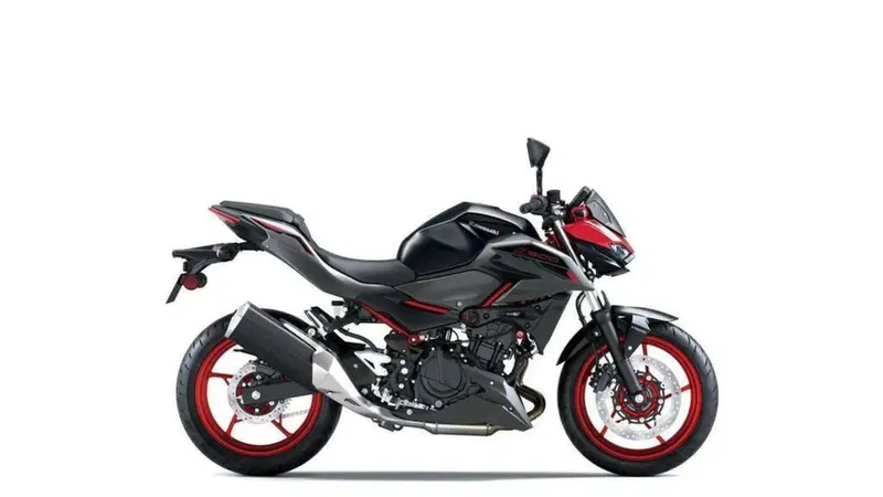 Kawasaki Z 500 SE (2024 - 26) (8)