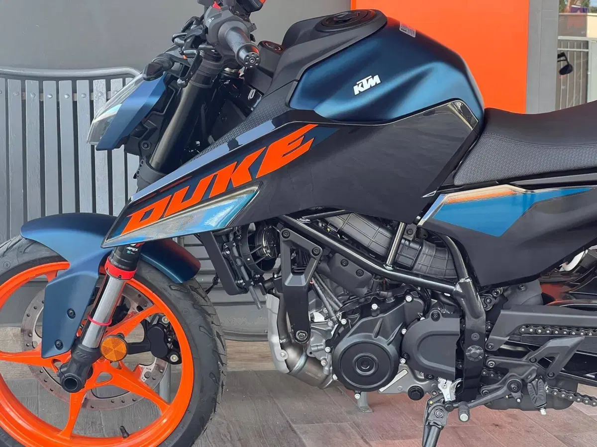 KTM 125 Duke (2024 - 25) (6)